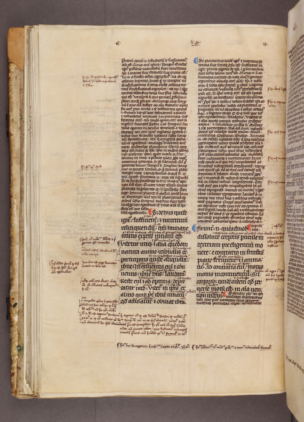 Folio 41 verso